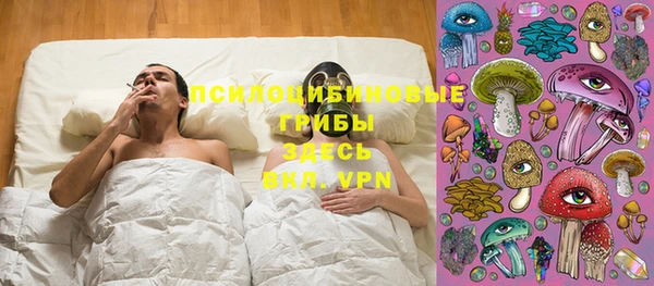 молекула духа Новозыбков