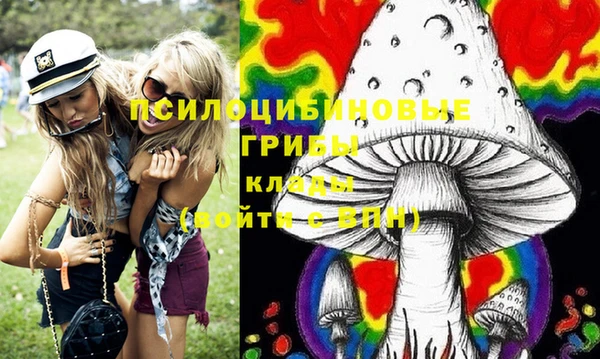 хмурый Нягань