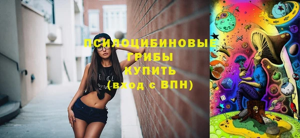 хмурый Нягань