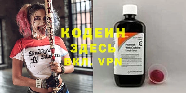 хмурый Нягань