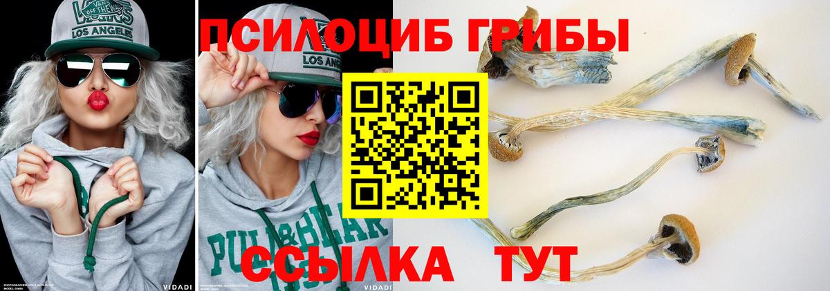 Полевской  Псилоцибиновые грибы ЛСД  Вход с VPN 